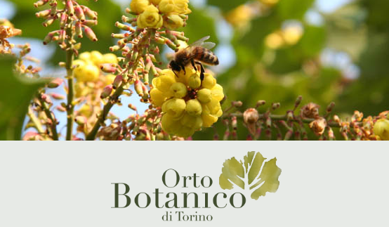 orto botanico di torino